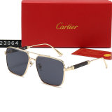 5A Simple Versatile Sunglasses 23064