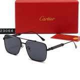 5A Simple Versatile Sunglasses 23064