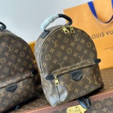 Palm Springs Backpack Brown 241112