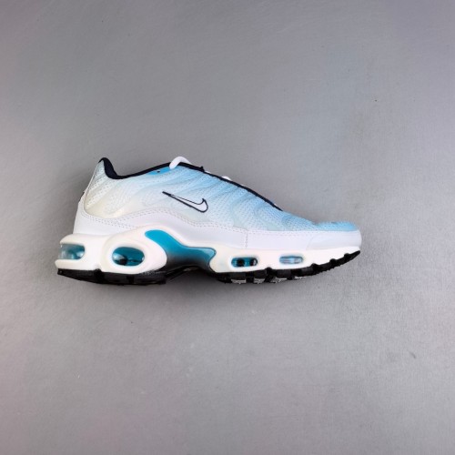 Air Max Plus TN Sneakers Running Shoes Blue