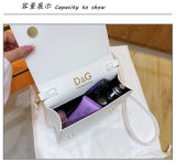 5A DG Logo Bag Crossbody Bag