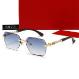 5A Polarized Sunglasses 3078