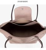 5A Le Pliage Handbag003