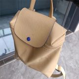 5A Le Pliage Backpack 016