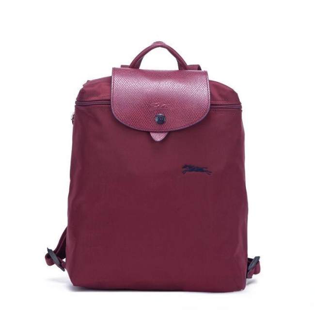 5A Le Pliage Backpack 017