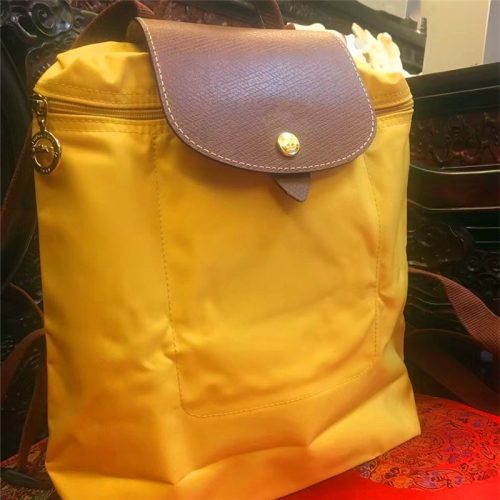 5A Le Pliage Backpack 019