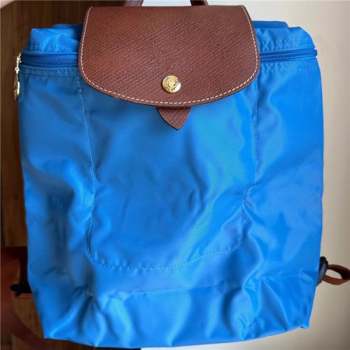 5A Le Pliage Backpack 003