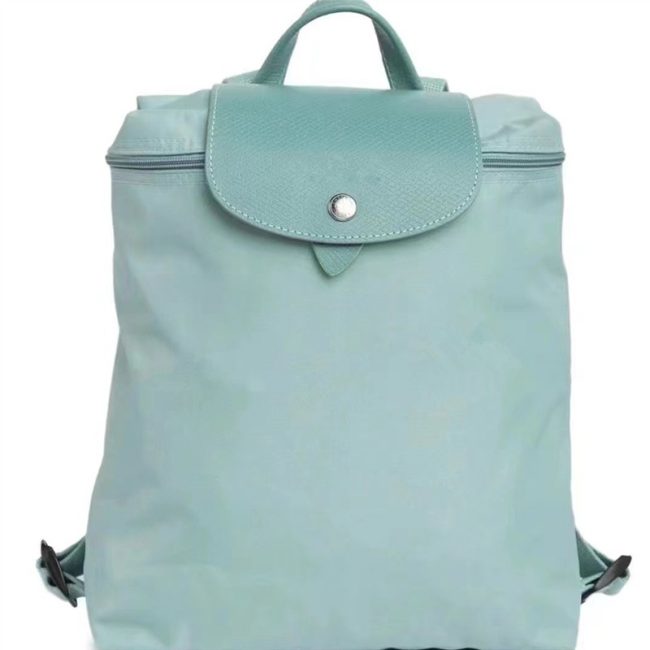 5A Le Pliage Backpack 006