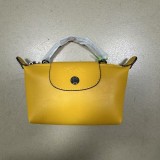 5A Le Pliage Xtra XS Handbag