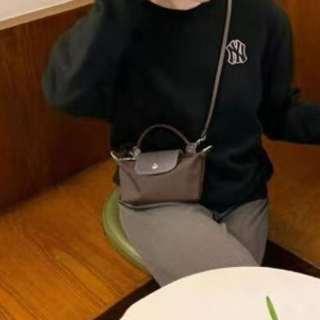 5A Le Pliage Pouch with Handle Mini Tote Bag 002