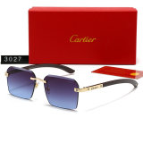 5A Sunglasses 3027