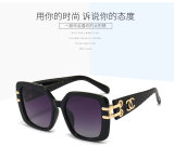5A Sunglasses 6099