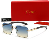 5A Sunglasses 3027