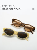 5A Polarized Sunglasses 8959