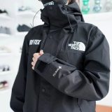 5A Mountain GTX Jacket NF0A831M