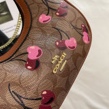 5A Print Shoulder Bag 1169