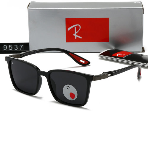 5A Polarized Sunglasses 9537