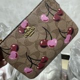 5A Zip Around Card Case