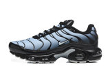 5A Air Max Plus Sneaker