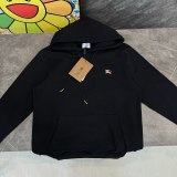 5A Equestrian Knight Hoodie
