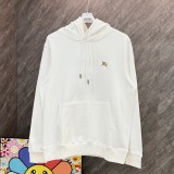 5A Equestrian Knight Hoodie