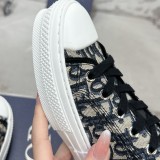 5A Low B23 Oblique Sneakers