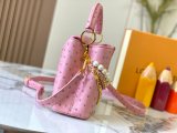 Original Capucines Bag