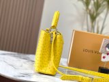 Original Capucines Bag
