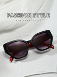 5A Polarized Sunglasses 2312