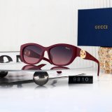 Women's Retro Oval Sunglasses 9810