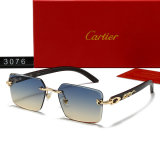 5A Panthère Gold Frame Gradient Lens Sunglasses 3076