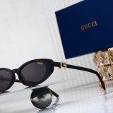 Women's Oval Cat Eye Sunglasses 4827