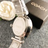 5A Women's Quartz Watches 8006CH