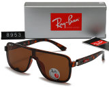 5A Polarized Sunglasses 8953