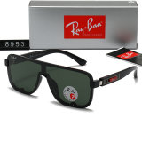 5A Polarized Sunglasses 8953