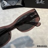 5A Oversized Square Sunglasses RB4446L