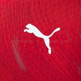 Original Switzerland 2026 FIFA World Cup National Teams Player Version Home Jersey