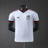 Original Mexico 2026 FIFA World Cup National Teams Player Version Away Jersey