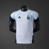 Original Argentina 2026 FIFA World Cup National Teams Player Version Training Jersey