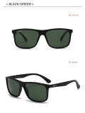 5A Polarized Sunglasses RB2109