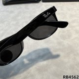 5A Polarized Sunglasses RB4562