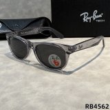 5A Polarized Sunglasses RB4562