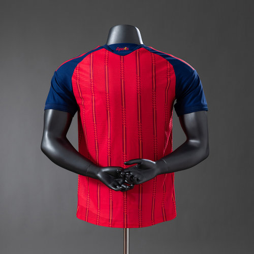Original 2026 FIFA World Cup National Spanish Champion Player Version Jersey