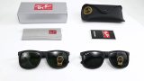 5A Square Frame Polarized Sunglasses 4185