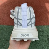 Dior B31 Runner White Grey
