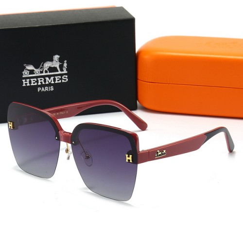 Hermes Polarizer AAA-010