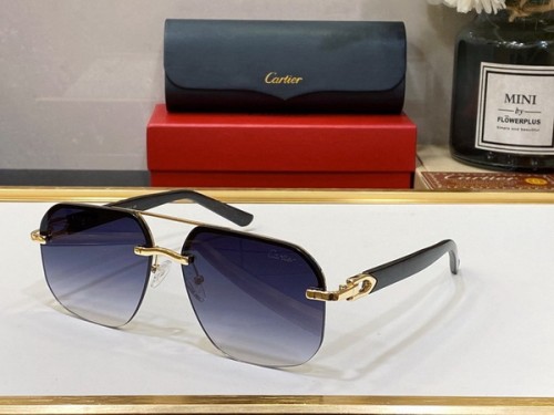 Cartier Sunglasses AAAA-2695