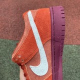 Nike Dunk SB Low Noise Aqua