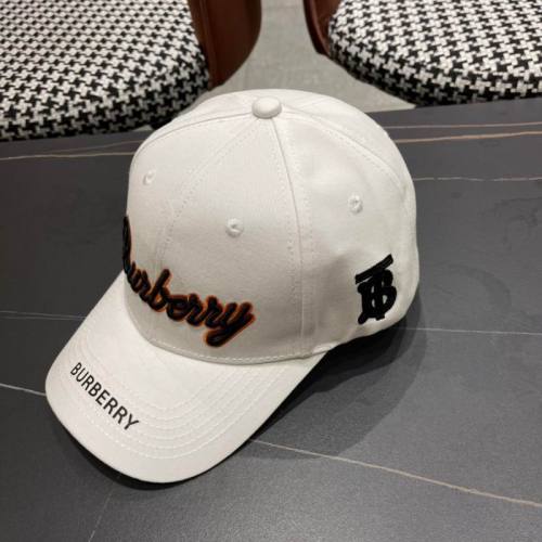 BURBERRY HATS-026