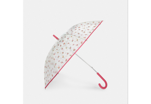 Mini Clear Bubble Umbrella In Vintage Rose Print